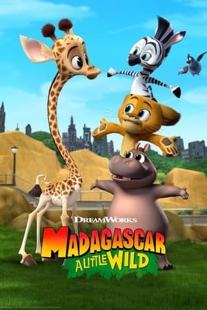 Madagascar - I 4 dell'oasi selvaggia