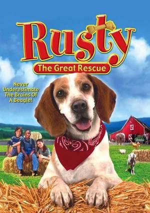 Rusty, cane coraggioso