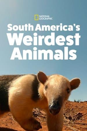 Sud America: Gli Animali Più Strani