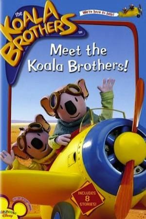 The Koala Brothers