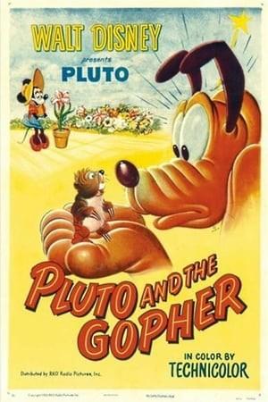Pluto e la talpa