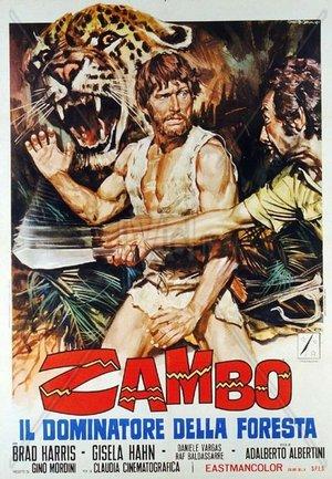 Zambo, Il Dominatore Della Foresta