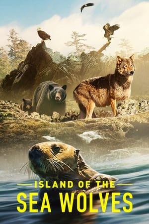 L'isola dei lupi