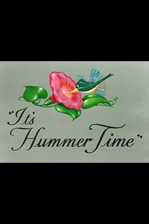 It's Hummer Time