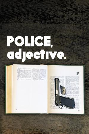 Polițist, adjectiv