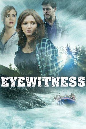 Eye witness - Testimone involontario