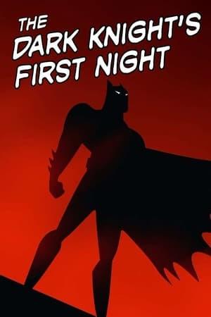 Batman: The Dark Knight's First Night