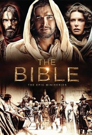 La Bibbia - Dio nella storia