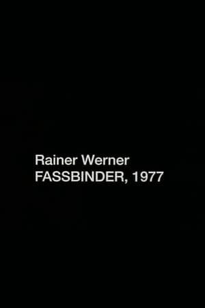 Fassbinder 1977