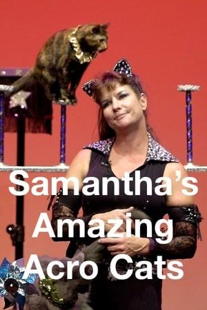 Samantha’s Amazing Acrocats