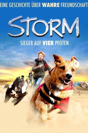 Storm - Una tempesta a 4 zampe
