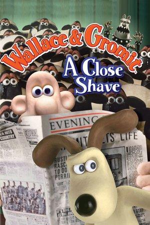 Wallace & Gromit: Una Tosatura Perfetta