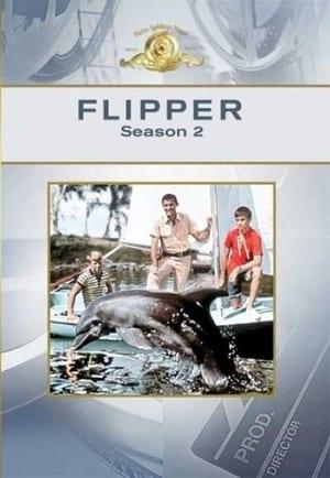 Le nuove avventure di Flipper