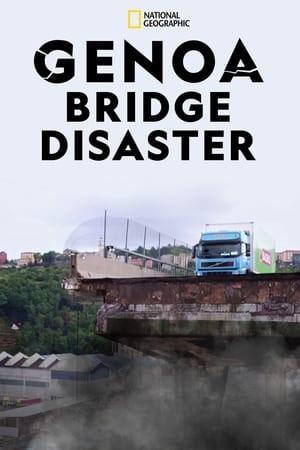 When Bridges Collapse: The Genoa Disaster