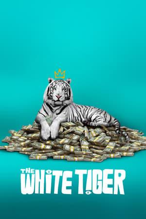 La tigre bianca