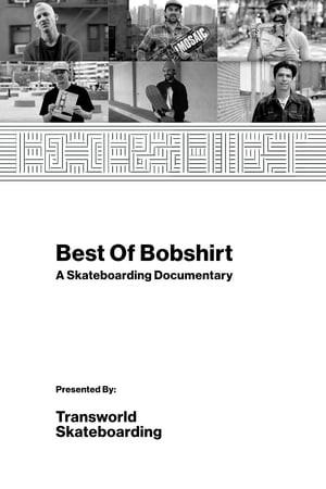 Best of Bobshirt: A Skateboarding Documentary