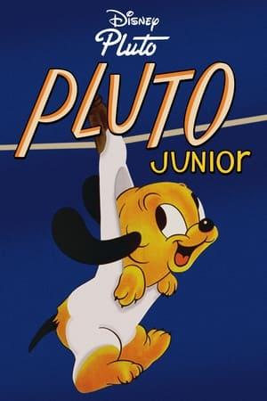 Il Piccolo Pluto
