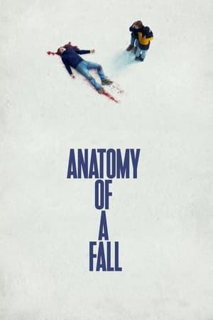 Anatomia di una caduta