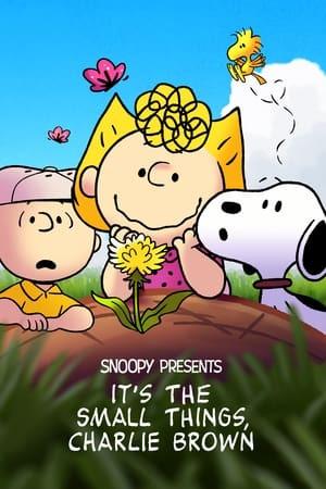 Snoopy presenta: le piccole cose contano, Charlie Brown