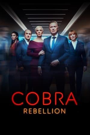 Cobra – Unità anticrisi