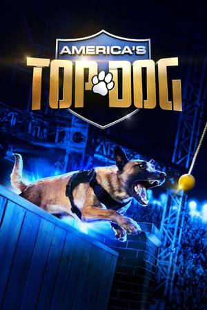 Top Dog: Olimpiadi a 4 zampe