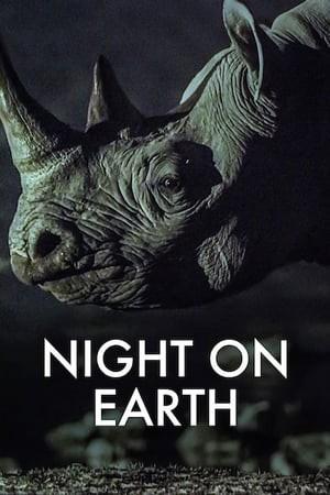 Notte sul pianeta terra