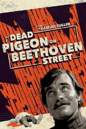 Tote Taube in der Beethovenstrasse